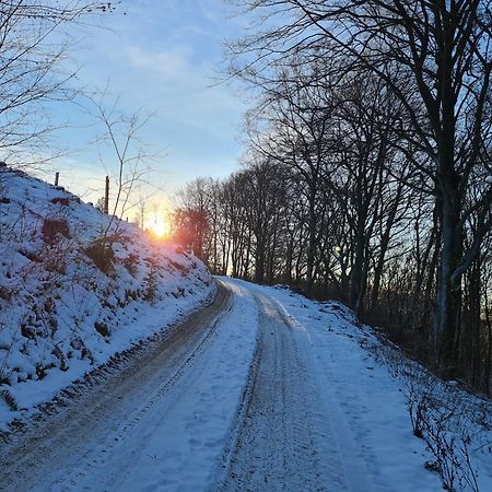 Ferienwohnungen Dorfliebe Doernberg Bestwig Bagian luar foto