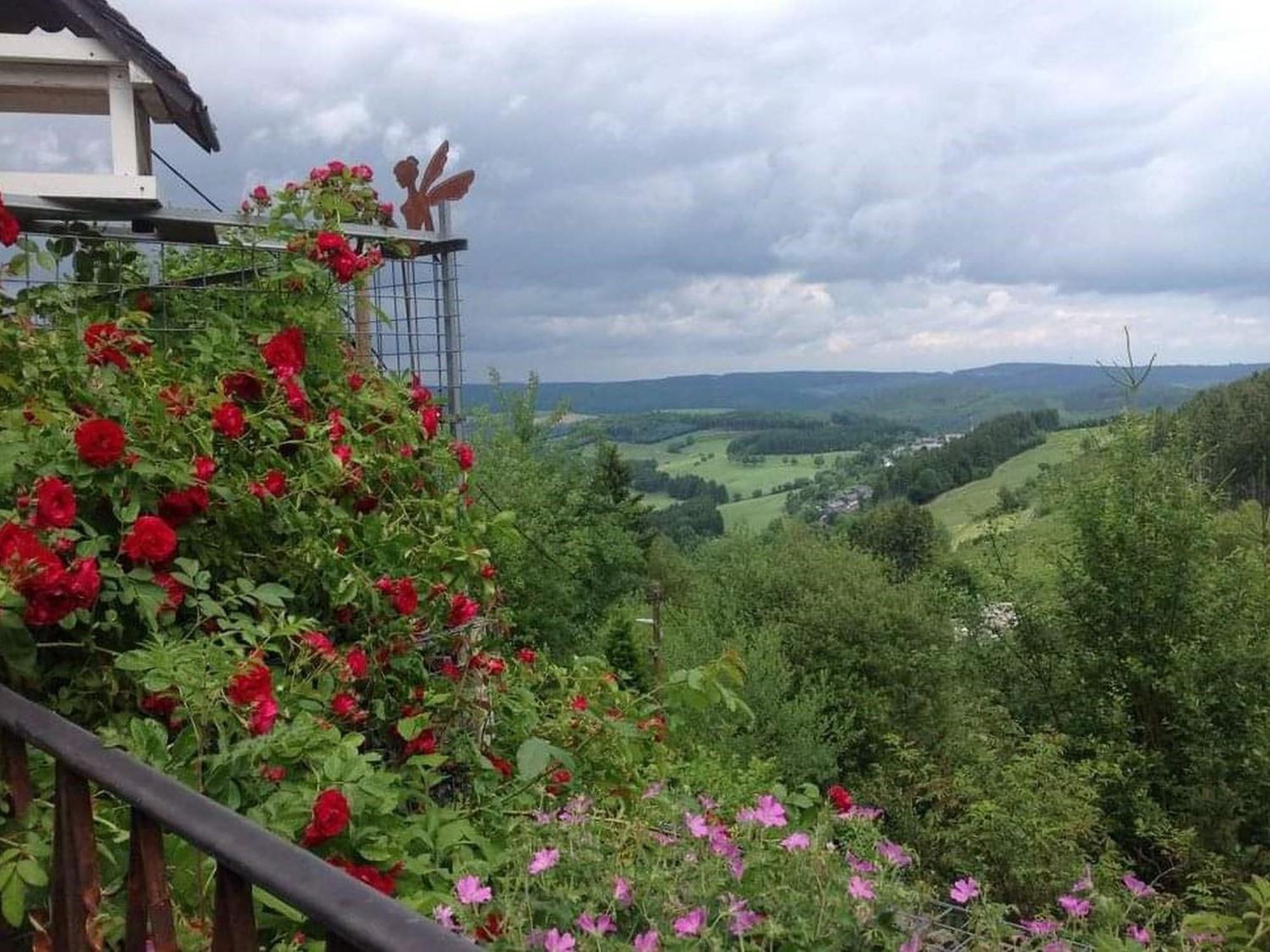 Ferienwohnungen Dorfliebe Doernberg Bestwig Bagian luar foto